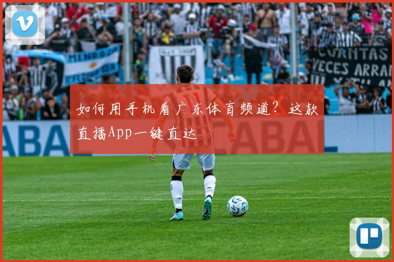 如何用手机看广东体育频道？这款直播App一键直达