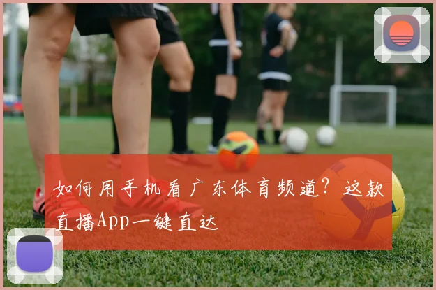 如何用手机看广东体育频道？这款直播App一键直达