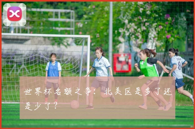 世界杯名额之争：北美区是多了还是少了？