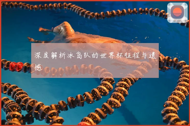 深度解析冰岛队的世界杯征程与遗憾